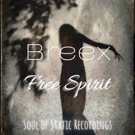 breex  spirit single sosr breex soul  static recordings