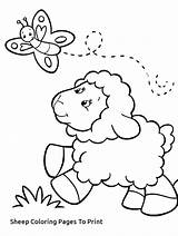 Coloring Sheep Pages Preschool Lamb Printable Getcolorings sketch template