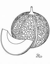Melon Coloring Pages sketch template