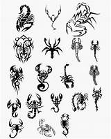 Scorpion Scorpio Escorpion Stencil sketch template