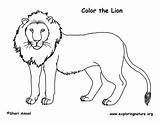 Lion Coloring Pages Lions Printable Kids Color Print Real Male Animal Cartoon Sheets Animals King sketch template