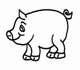 Pigs Pot Outline sketch template