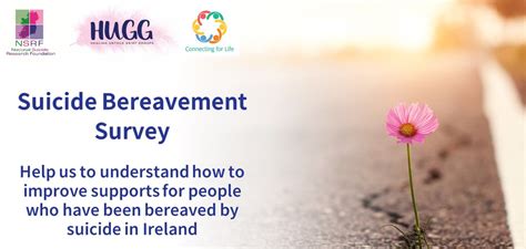 Irish Suicide Bereavement Survey Hse Ie