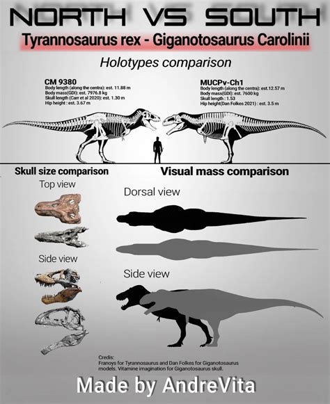 tyrannosaurus rex specimen cm   giganotosaurus carolinii