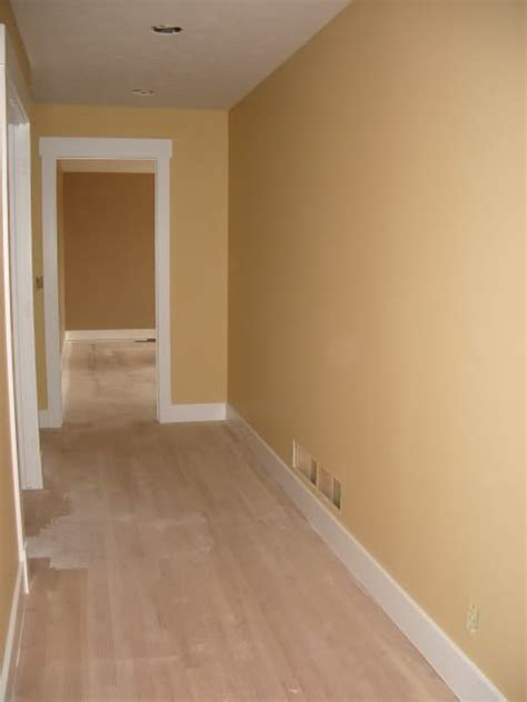 light gold paint colors  living room information