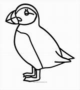 Puffin Puffins Coloring4free Printable Coloringbay Clipartkey sketch template