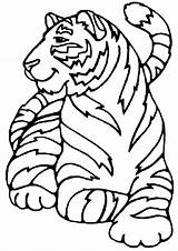 Tigre Haiwan Harimau Amur Mewarna Mewarnai Hermoso Kertas Animais Malvorlagen Binatang Ausmalbilder Ausmalbild Tigres Colorironline Kidipage Desenhosde sketch template