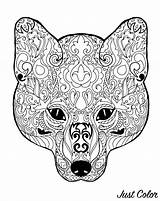 Renard Coloriage Foxes Tete Zorros Coloriages Motifs Renards Adulti Volpi Adultos Tête Animaux Stampare Animales Zorro Justcolor Nggallery Adultes sketch template