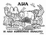 Asia Coloring Pages Wildlife Kids Animal Teacherspayteachers Wild Educational Color Activities Choose Board sketch template