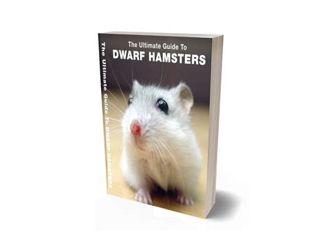 The Ultimate Guide To Dwarf Hamsters Payhip