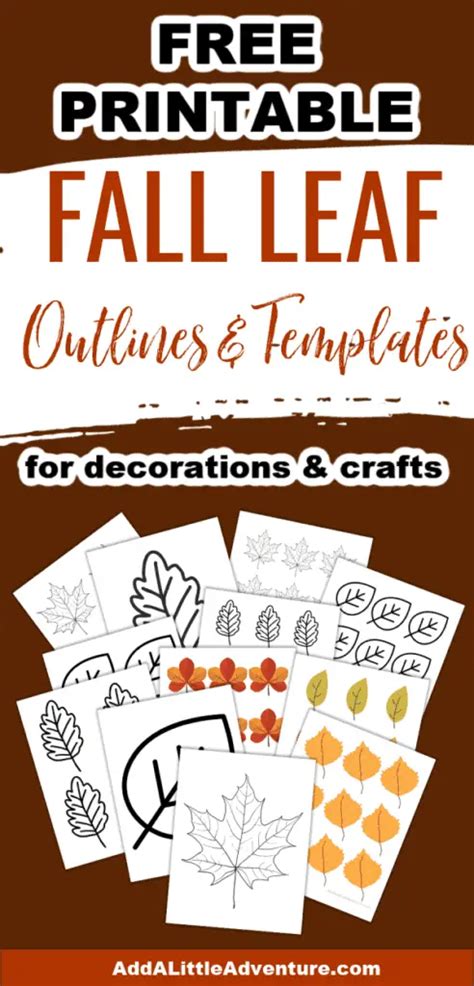 fall leaves printable outlines  templates add   adventure