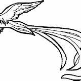 Quetzal Aves Quetzales Pajaros Aporta Utililidad Aprender Deseo Pueda sketch template