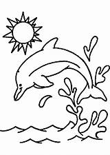 Golfinhos Atividades sketch template