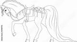 Horse Thoroughbred sketch template