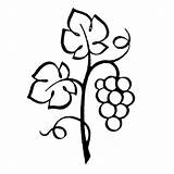Vine Line Drawing Branches Clipart sketch template