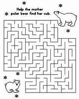 Polar Maze Bear Activities Bears Kids Find Way Printable Children Fun Through Printables Animals Puzzle Activity Arctic Spring Print Choice sketch template