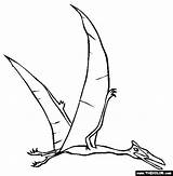 Dinozaury Kolorowanki Quetzalcoatlus Pterodactyl Dino Zwierzęta sketch template