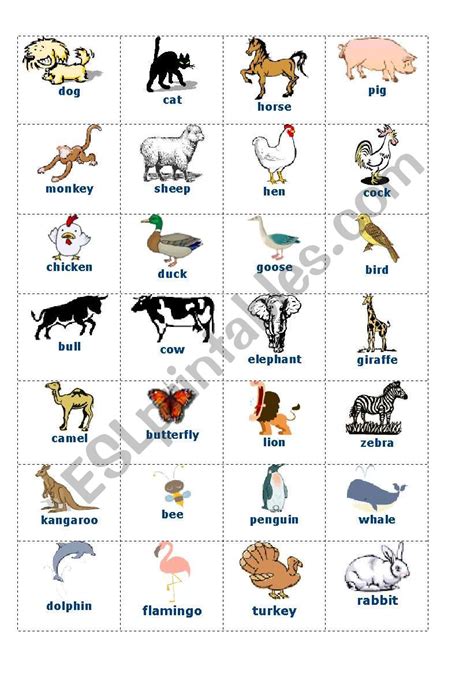 animal cards esl worksheet  natyhatt