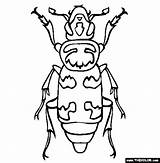 Beetle Coloring Pages Burying Dung Color Animals Endangered Online Insect Sheet Gif Beelte Animal Bugs Bug Insects Designlooter Choose Board sketch template