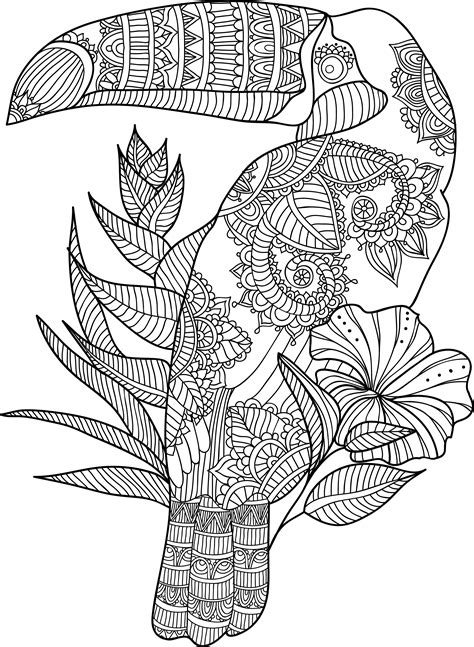 toucan zentangle zoo animal coloring pages star coloring pages paw