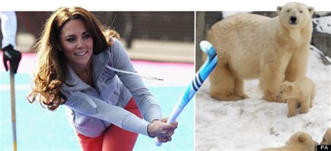 pictures of the week kate middleton barack obama and a white bengal tiger
