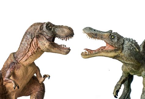 Was Spinosaurus Bigger Than T Rex