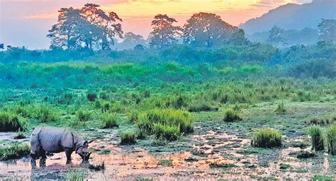 biosphere reserve conserves  preserves southern appalachian