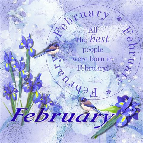 february birthday wishes happy february february birthday happy