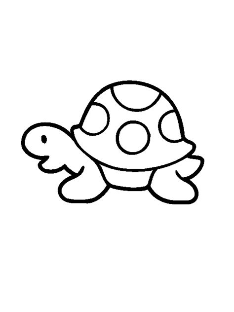 simple turtle drawing  getdrawings