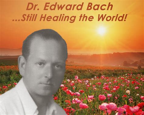 learning living learning livingcom dr edward bach twelve healers   remedies