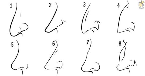 types  noses    shape reveals   personality