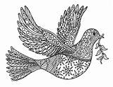 Dove Coloring Peace Zentangle Bird Sheet Preview sketch template