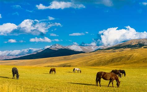 kazachstan biuro turystyczne bezkresy