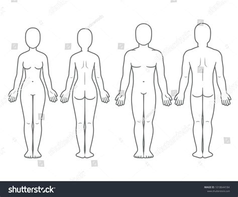 female body outline template