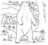 Bear Standing Coloring Pages Brown Tall sketch template