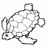 Desert Tortoise Coloring Color Pages Animals Animal Print Back sketch template