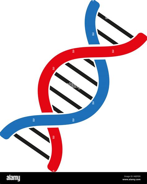 el icono de adn la genetica  la medicina la biologia molecular el
