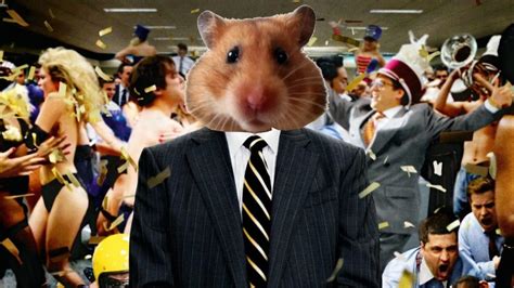 hamster  germany    cryptocurrency trader