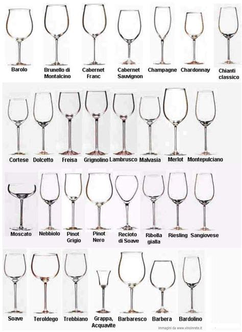 Types Of Wine Glasses And Their Uses About Glass Italyhomemade