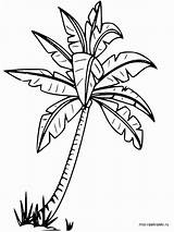 Palm Coloring sketch template