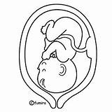 Embarazada Feto Embarazo Maternidad Embrionario Nacimiento Panza Prenatal Etapa Animada Etapas Embarazadas Batas Remeras Buscadas Parto Vientre Barriga Ventre Taiji sketch template