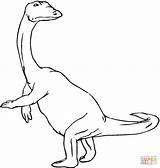 Coloring Plateosaurus Pages Gif Drawing Spinosaurus sketch template