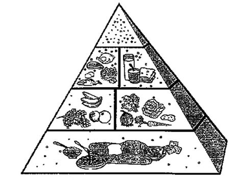 picture  food pyramid coloring pages  print
