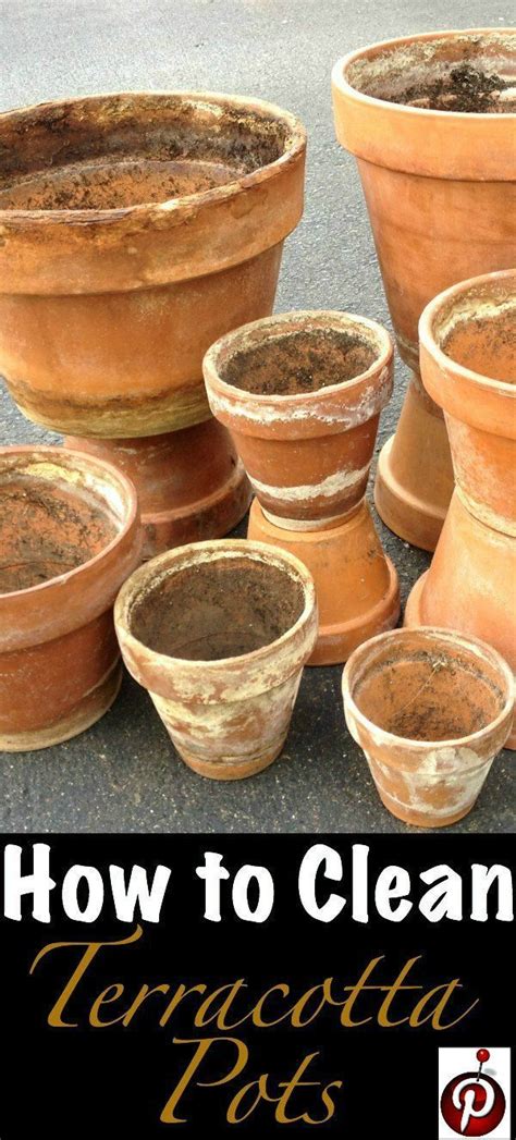 clean terracotta pots clean clay pots   easy steps clay