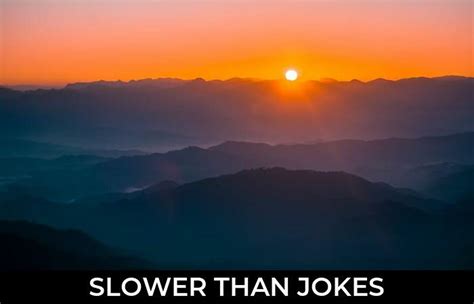 slower  jokes  funny puns jokojokes