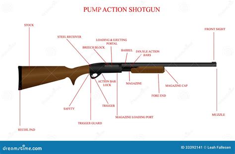 labeled shotgun diagram stock vector image  hunter