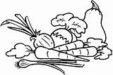 Vegetables Coloring Clipart Pages Printable sketch template