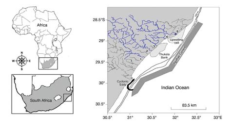oceanographic  riverine phenomena affecting water masses   area  scientific