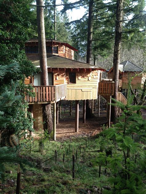 treehouse  centre parcs   stay    day tree house centre parcs normal