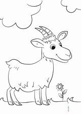 Cute Colorare Disegni Cabras Koza Goats Capre Animales Dibujar Kolorowanka Cabra Bambini sketch template
